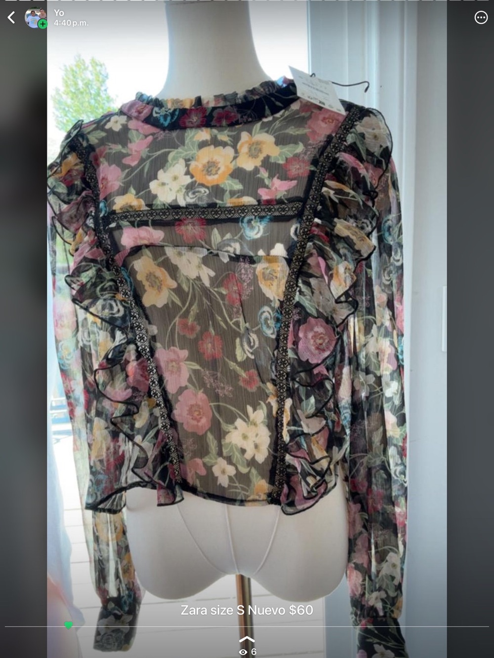 Zara Black Sheer Floral Ruffle-Trim Long Sleeve Blouse